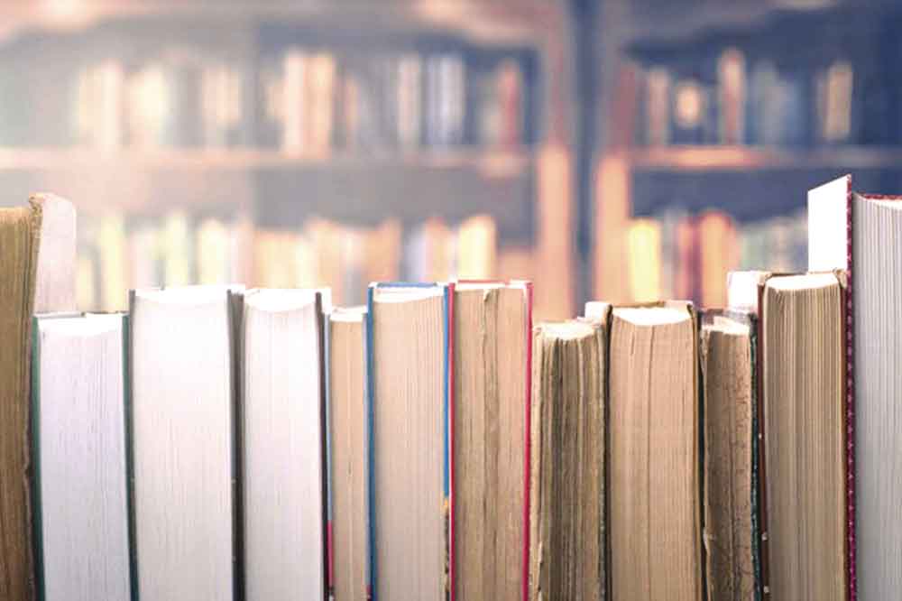 HORMATA MYNASYP HALYPA