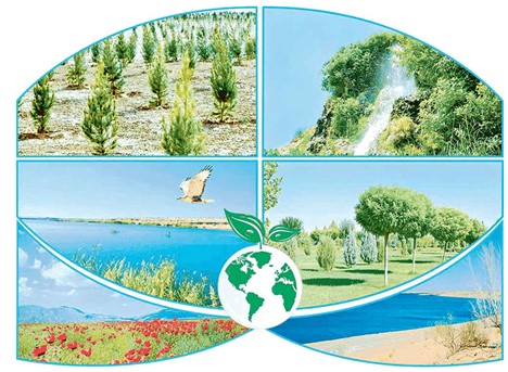 World Environment Day